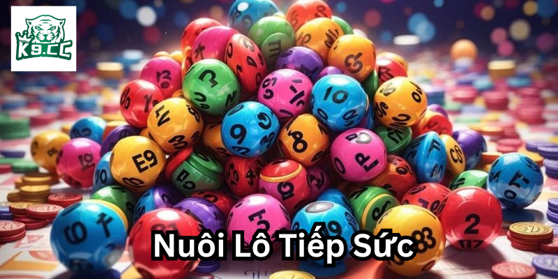 Chiến Lược Nuôi Lô Tiếp Sức - Bí Kíp Chinh Phục Thành Công! Những lưu ý Nuôi Lô Tiếp Sức