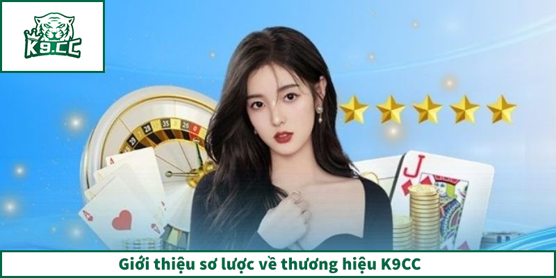 Giới thiệu sơ lược về thương hiệu K9CC